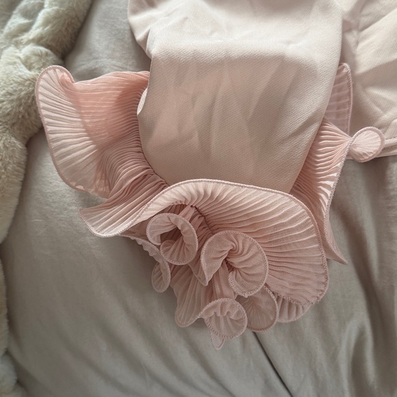 Zara Light Pink Mock Neck Blouse with Ruffle Cuffs - Picture 3 of 4
